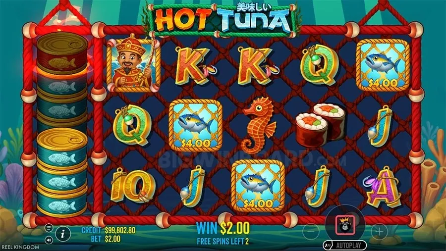 Tips for Live Casino Success